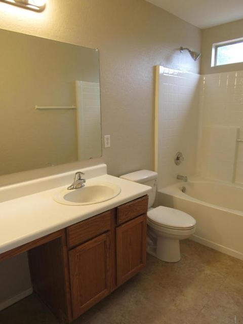 10943 E Delta Ave, Mesa, AZ 85208 photo 22