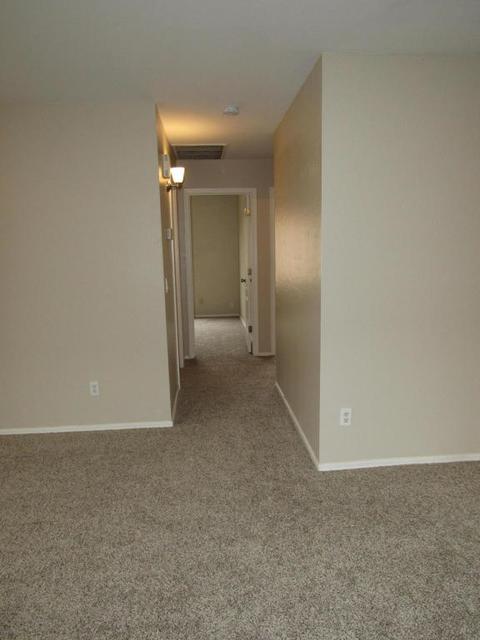 10943 E Delta Ave, Mesa, AZ 85208 photo 5