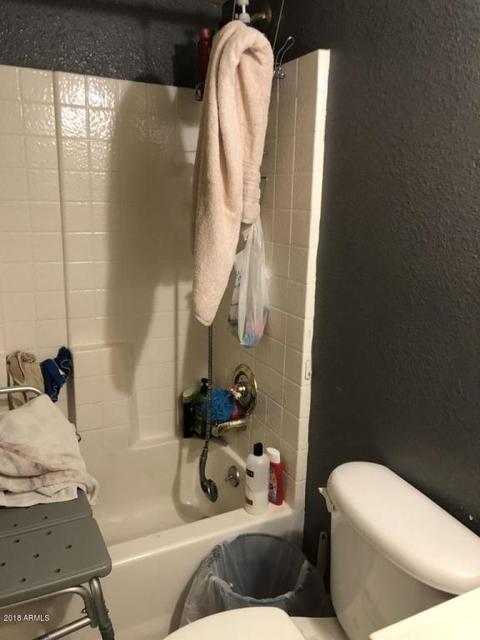 8044 E Impala Ave, Mesa, AZ 85209 photo 30