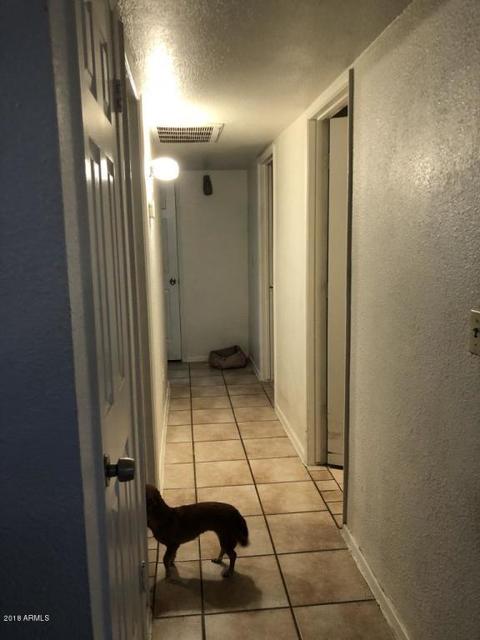 8044 E Impala Ave, Mesa, AZ 85209 photo 31