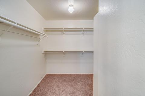 4565 E Villa Rita Dr, Phoenix, AZ 85032 photo 13