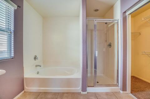 10038 E Impala Ave, Mesa, AZ 85209 photo 20
