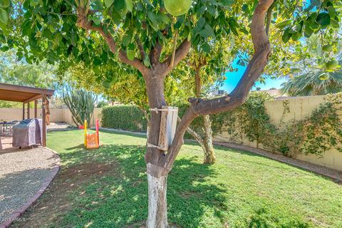 3801 E Mercer Ln, Phoenix, AZ 85028 photo 22