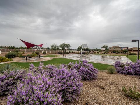 3501 E Coconino Way, Gilbert, AZ 85298 photo 64