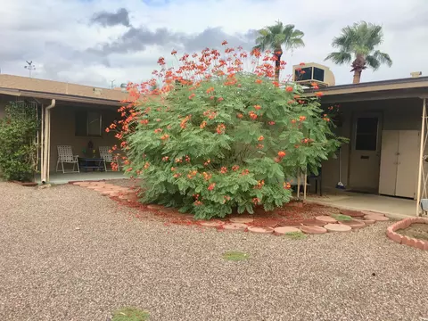 264 N 54th St, Mesa, AZ 85205 photo 39