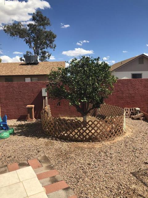 533 N Windsor --, Mesa, AZ 85213 photo 53