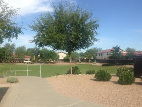 3255 S Bowman Rd, Apache Junction, AZ 85119 photo 3