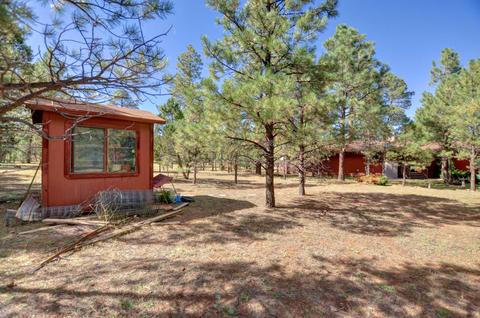 2797 Pine Rim Rd, Overgaard, AZ 85933 photo 13