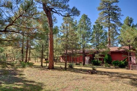 2797 Pine Rim Rd, Overgaard, AZ 85933 photo 14
