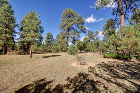 2797 Pine Rim Rd, Overgaard, AZ 85933 photo 16