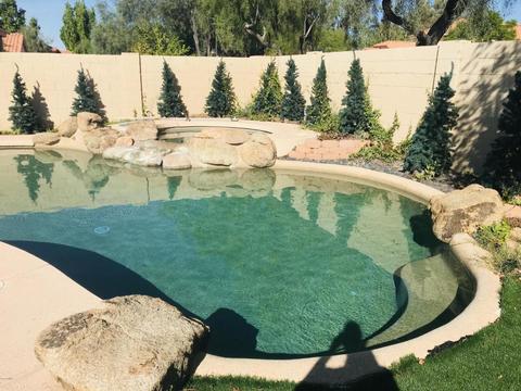 1214 E Saint John Rd, Phoenix, AZ 85022 photo 22