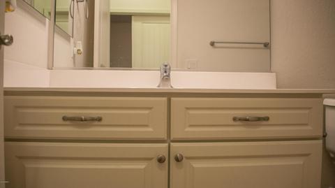 1685 E Dubois Ave, Gilbert, AZ 85298 photo 15