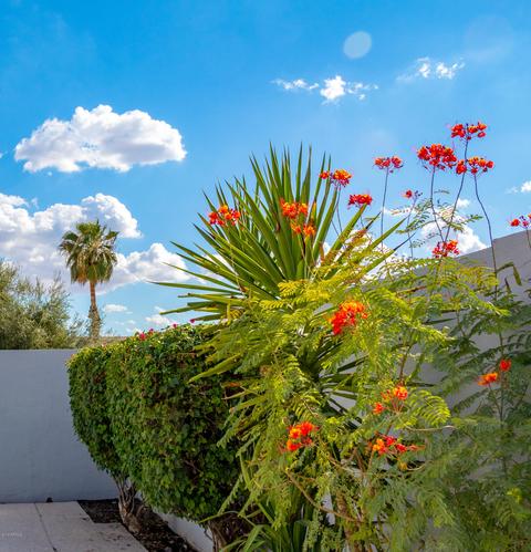 2008 E Cairo Dr, Tempe, AZ 85282 photo 9