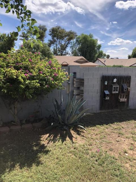 6223 E Ingram St, Mesa, AZ 85205 photo 28