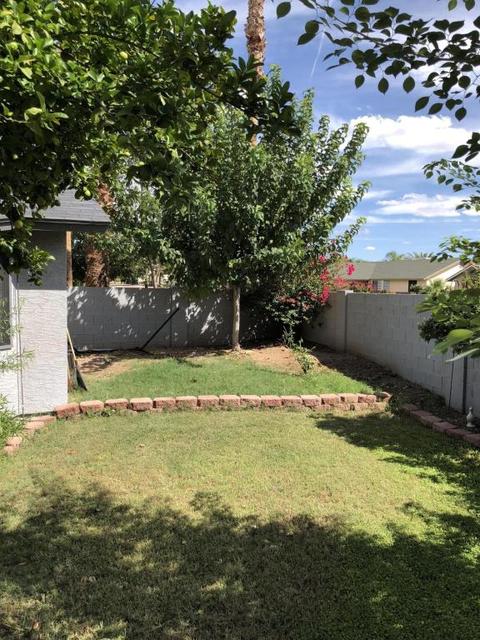 6223 E Ingram St, Mesa, AZ 85205 photo 23