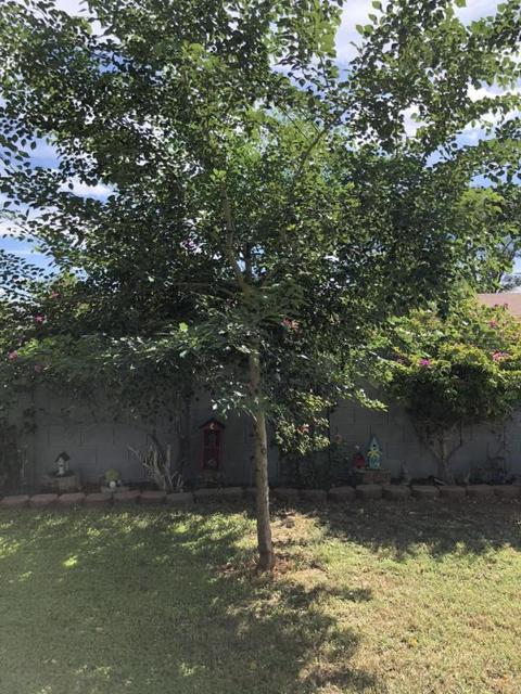 6223 E Ingram St, Mesa, AZ 85205 photo 26