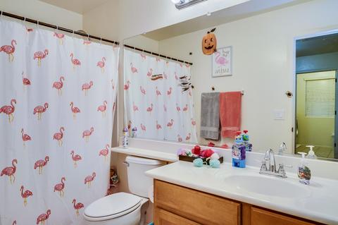 10114 E Isabella Ave, Mesa, AZ 85209 photo 17