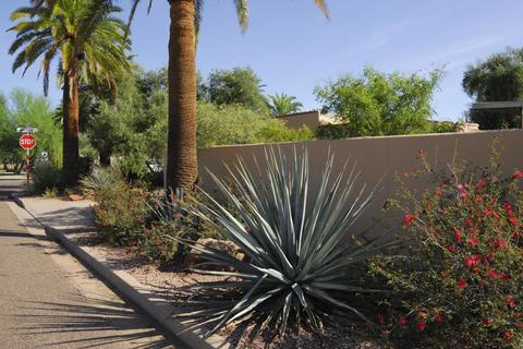 801 E Windsor Ave, Phoenix, AZ 85006 photo 61