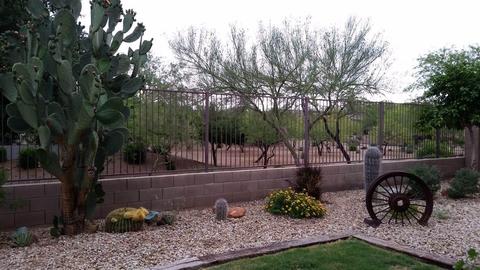 3046 W Eagle Claw Dr, Phoenix, AZ 85086 photo 26