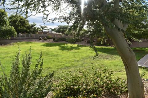2443 E Pony Ln, Gilbert, AZ 85295 photo 35