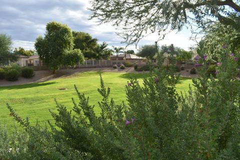 2443 E Pony Ln, Gilbert, AZ 85295 photo 23