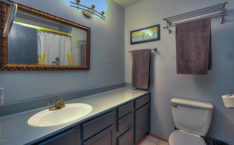 2317 E Capri Ave, Mesa, AZ 85204 photo 25