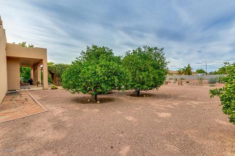 4374 E Caroline Ln, Gilbert, AZ 85296 photo 32