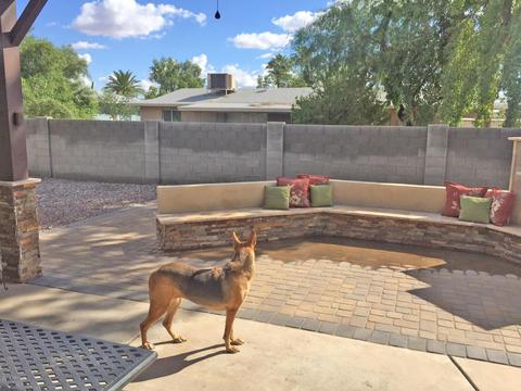 5501 E Duncan St, Mesa, AZ 85205 photo 18