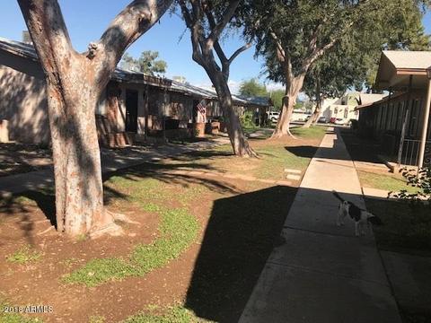 913 N Cherry Ln, Mesa, AZ 85201 photo 19