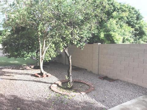 743 W Gary Ave, Gilbert, AZ 85233 photo 26