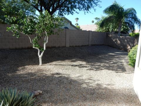 3039 E Captain Dreyfus Ave, Phoenix, AZ 85032 photo 16