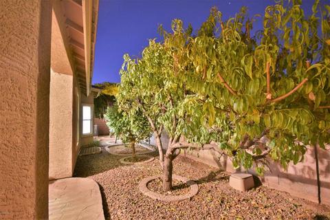 3487 Elgin St, Gilbert, AZ 85295 photo 38