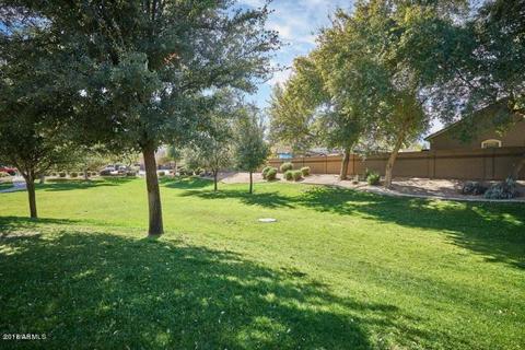 3487 Elgin St, Gilbert, AZ 85295 photo 43