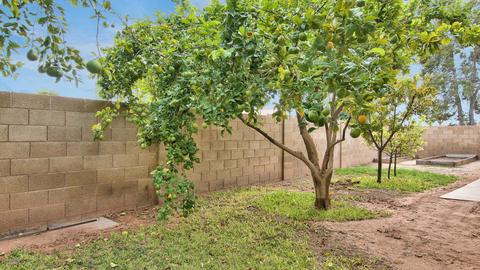 2254 E Capri Cir, Mesa, AZ 85204 photo 47