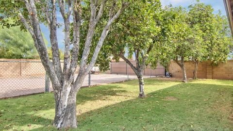 2254 E Capri Cir, Mesa, AZ 85204 photo 46