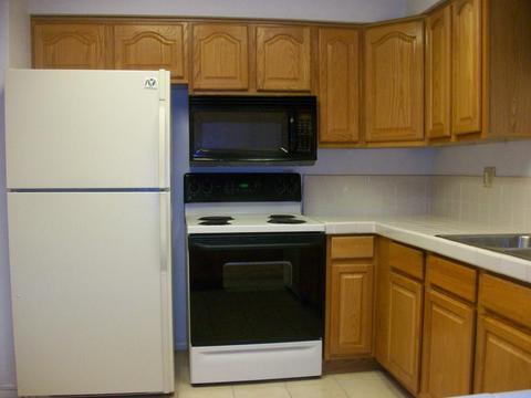 1243 E Ardmore Rd, Phoenix, AZ 85042 photo 4