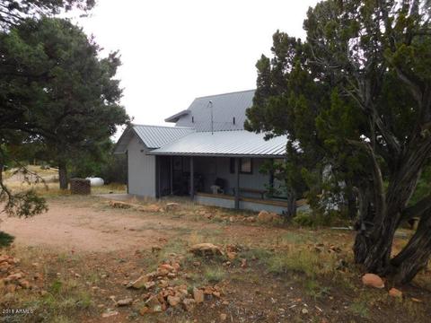 3687 Enchanted Forest Dr, Overgaard, AZ 85933 photo 11