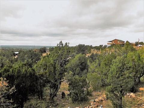 3687 Enchanted Forest Dr, Overgaard, AZ 85933 photo 13