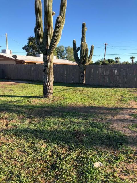 3007 E Grovers Ave, Phoenix, AZ 85032 photo 46