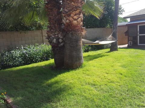 1413 Edgemont Ave, Phoenix, AZ 85006 photo 11