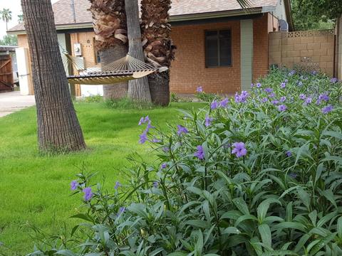 1413 Edgemont Ave, Phoenix, AZ 85006 photo 10