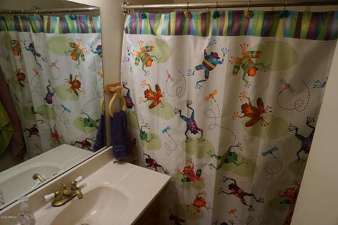 3803 W Crocus Dr, Phoenix, AZ 85053 photo 14