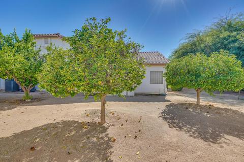 224 S Laguna Dr, Gilbert, AZ 85233 photo 29