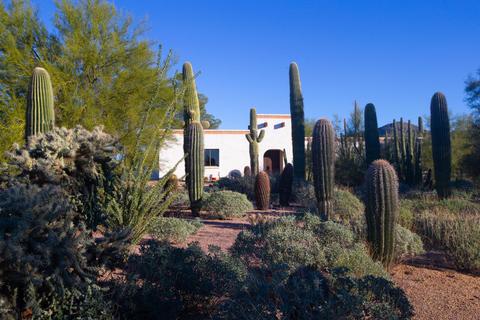 8224 E Mcdowell Rd, Mesa, AZ 85207 photo 23