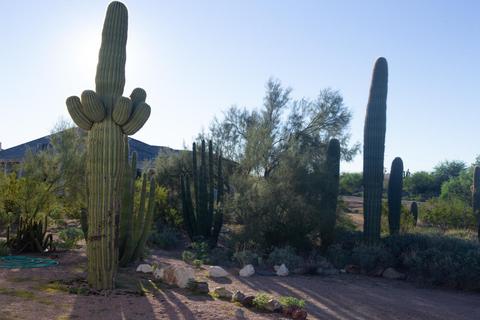 8224 E Mcdowell Rd, Mesa, AZ 85207 photo 22