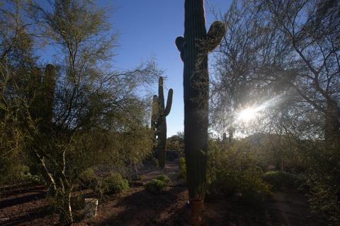 8224 E Mcdowell Rd, Mesa, AZ 85207 photo 20