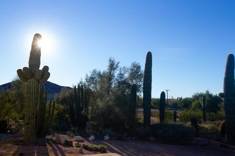 8224 E Mcdowell Rd, Mesa, AZ 85207 photo 21