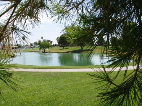 4034 E Concho Ave, Mesa, AZ 85206 photo 20