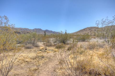 107 E Summerside Rd, Phoenix, AZ 85042 photo 53
