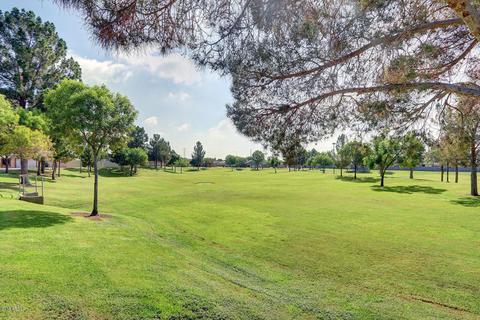 8057 Encanto St, Mesa, AZ 85207 photo 29